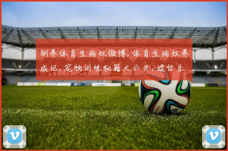驯养体育生狗奴微博,体育生狗奴养成记,宠物训练秘籍大公开,逗你乐翻天