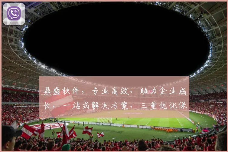 鼎盛软件，专业高效，助力企业成长，一站式解决方案，三重优化保障，首选之选